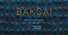 Pintér Galéria: Baksai - Vita Contemplativa kiállításmegnyitó